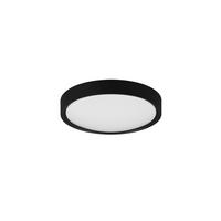 LED-Badezimmer-Deckenleuchte Clarimo Schwarz max. 18 Watt - Schwarz, Basics, Kunststoff (33/9cm) - Trio Leuchten