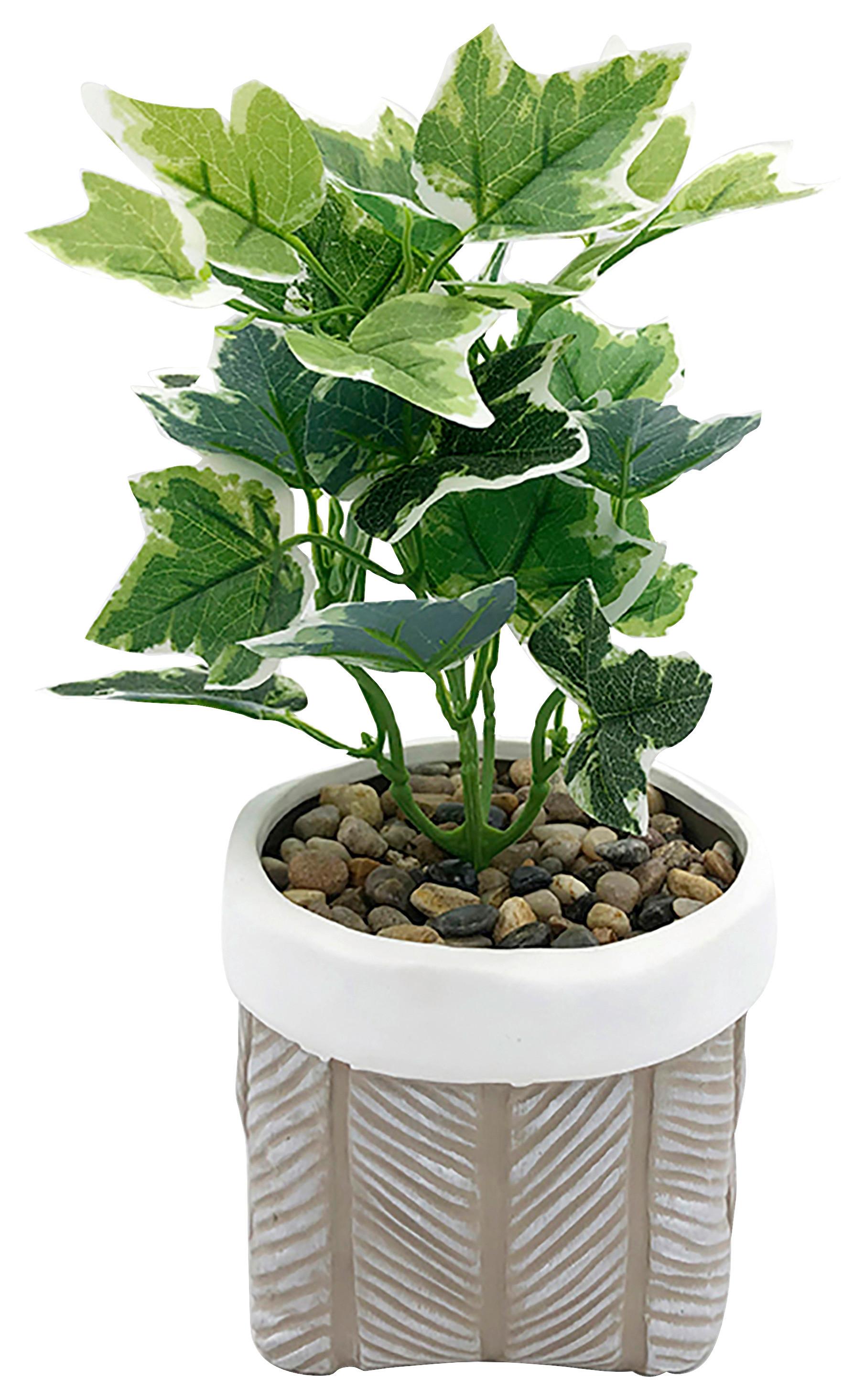 Kunstpflanze Grünpflanze Ø ca. 14cm - weiss/Grau, Modern, Keramik/Kunststoff (14/32cm) - Modern Living