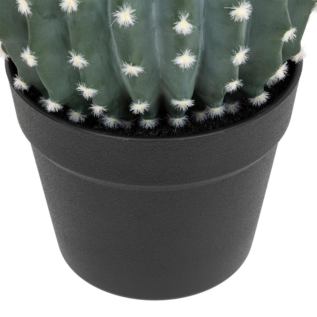 Cactus decorativ Exotic Panama - Modern (25cm)