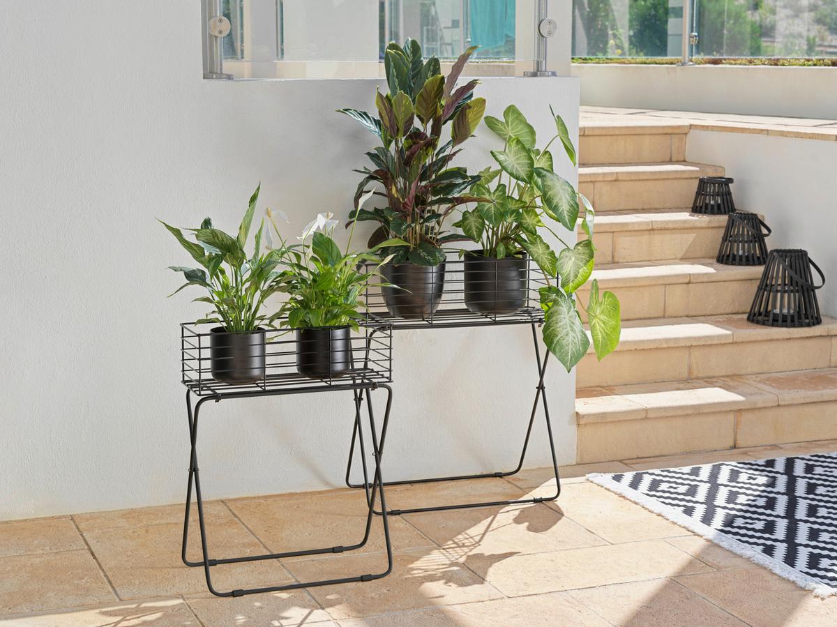 Lonček Za Cvetlice Black Times I -Paz- - črna, Basics, kovina (60/72/30cm) - Modern Living