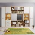 Regal Eichefarben - Eichefarben, MODERN, Holzwerkstoff/Kunststoff (120/217/40cm) - Premium Living Regal Eichefarben - Eichefarben, MODERN, Holzwerkstoff/Kunststoff (120/217/40cm) - Premium Living
