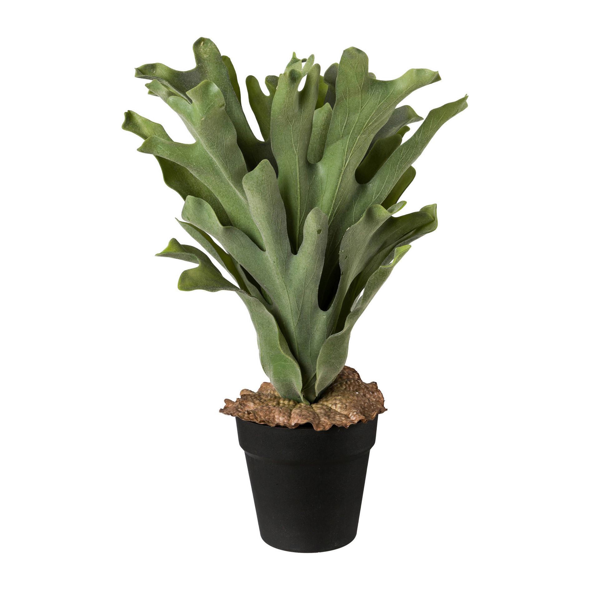 Kunstpflanze Grün/Schwarz - Schwarz/Grün, Basics, Kunststoff (45cm)