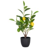 Kunstpflanze Zitronenbaum I Gelb/Grün - Gelb/Schwarz, Basics, Kunststoff (48cm)