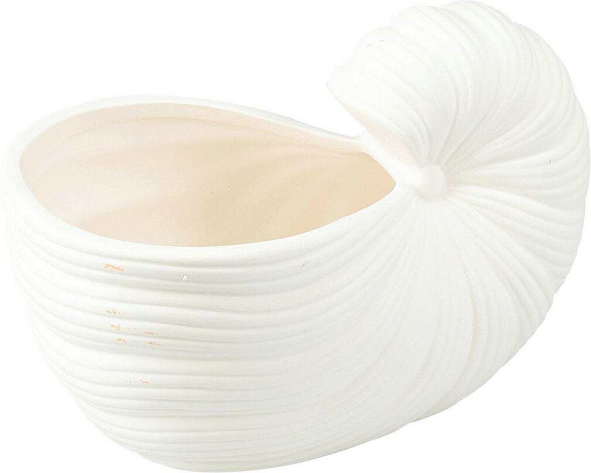 Virágkaspó Sea Shell - fehér, Trend, kerámia (20/12/10cm)