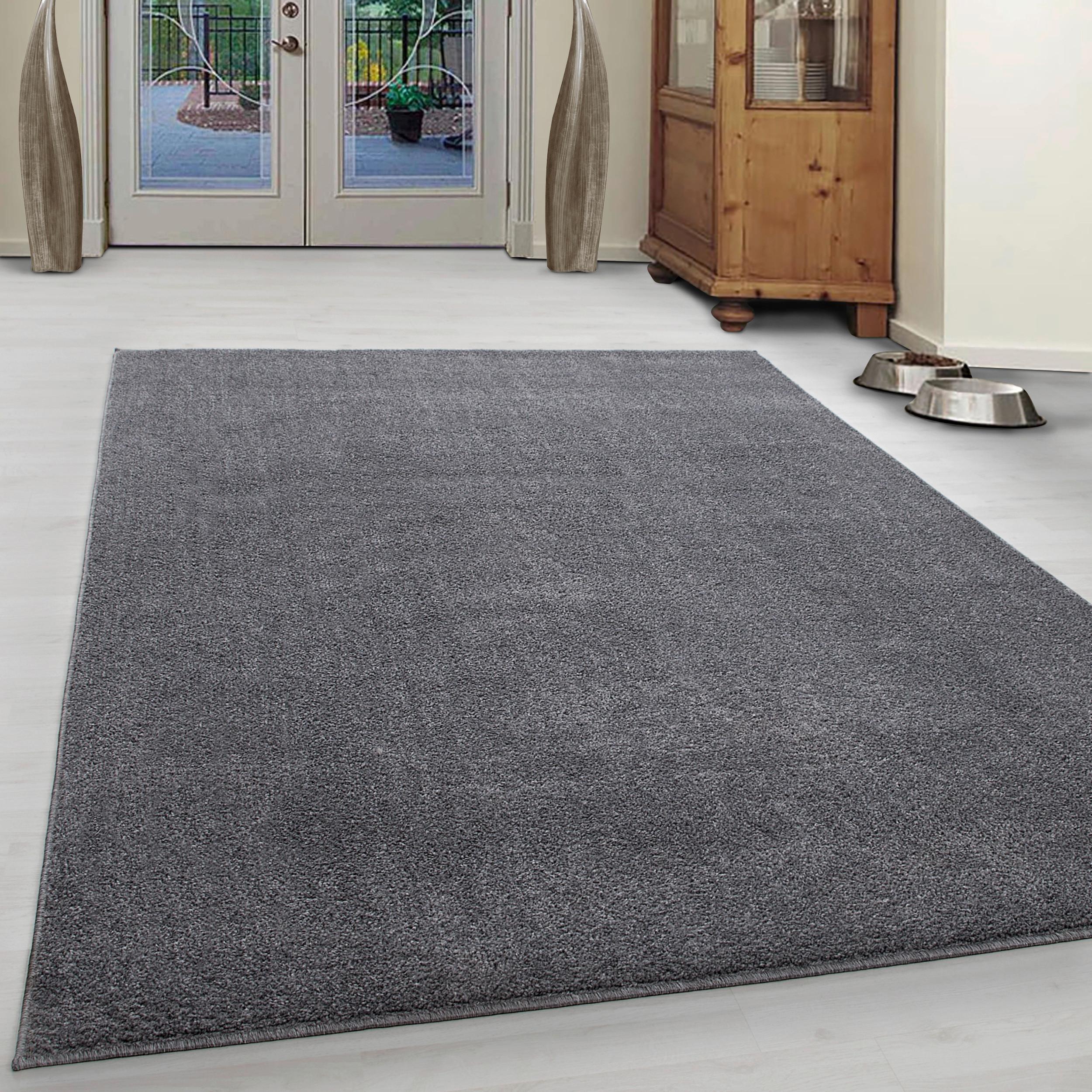 Preproga Z Visokim Florom Ata, Svetlo Siva, 160x230cm - svetlo siva, Design, tekstil (160/230cm) - Novel