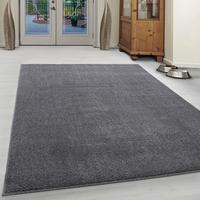 Hochflorteppich Ata 7000 Hellgrau ca. 280x370cm - Hellgrau, Design, Textil (280/370cm) - Ayyildiz 