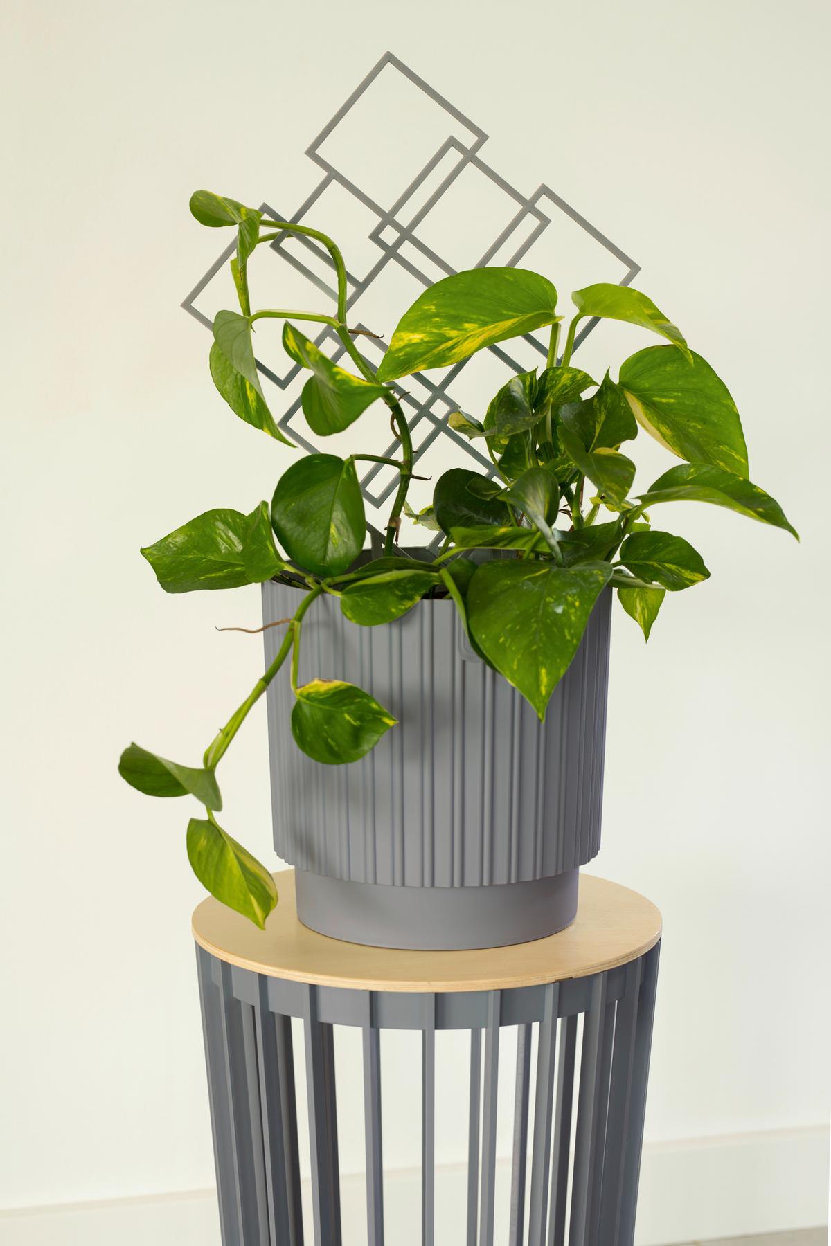 Dekoplatte Multivario Naturfarben - Naturfarben, MODERN, Holzwerkstoff (30,0cm)