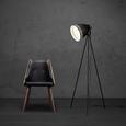 Stehleuchte Sven - Schwarz, MODERN, Metall (60/60/150cm) - MÖMAX modern living