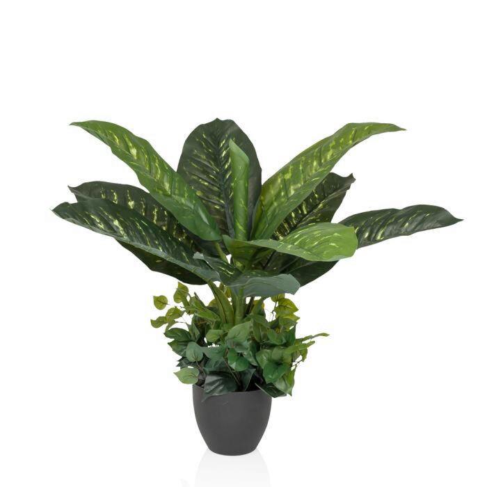 Umetna Rastlina Diefenbachia - črna/zelena, Moderno, umetna masa (42/80/33cm) - MID.YOU