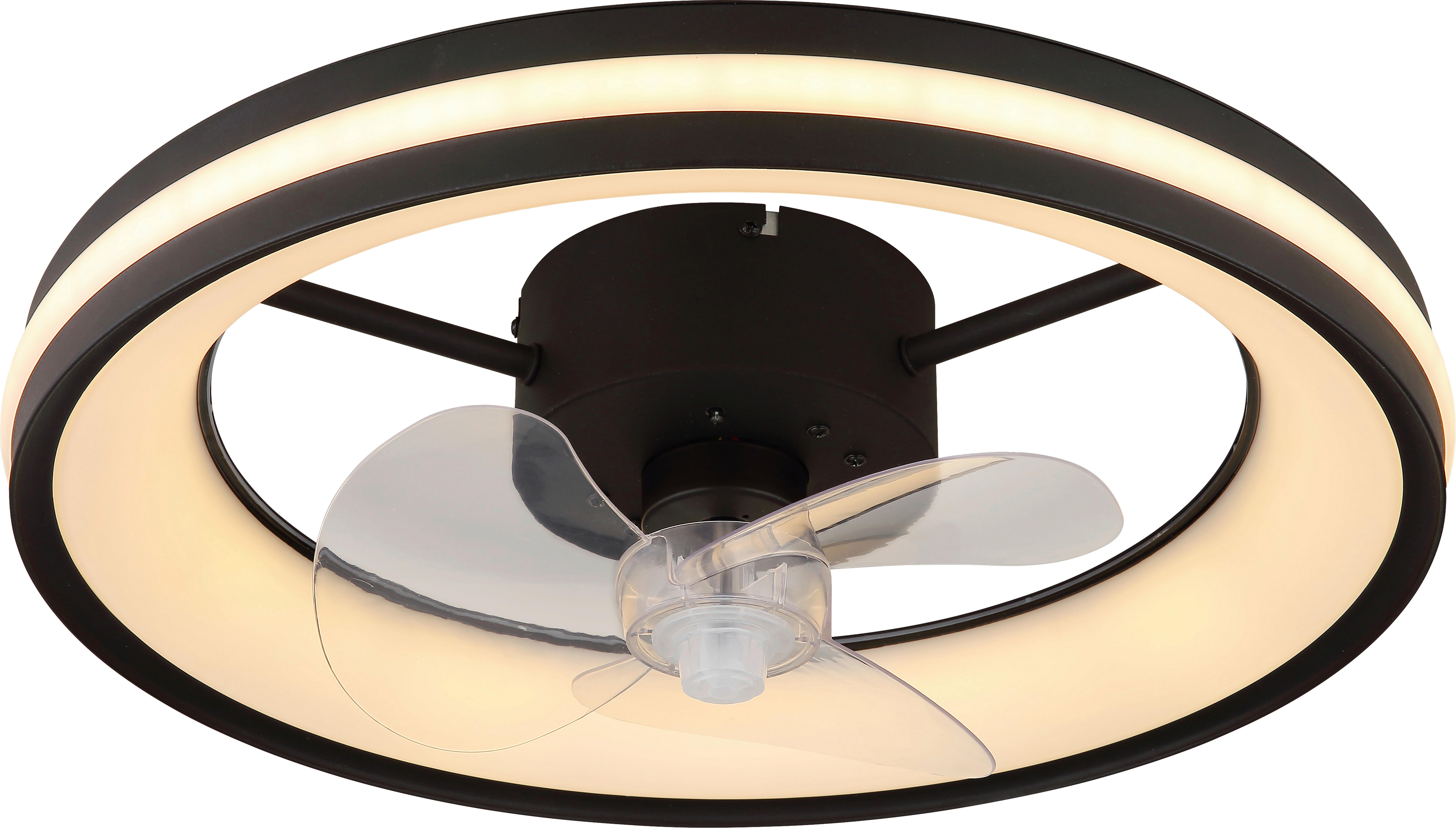 Deckenventilator Hayla Schwarz/Transparent - Klar/Transparent, Basics, Kunststoff/Metall (49,5/15cm)