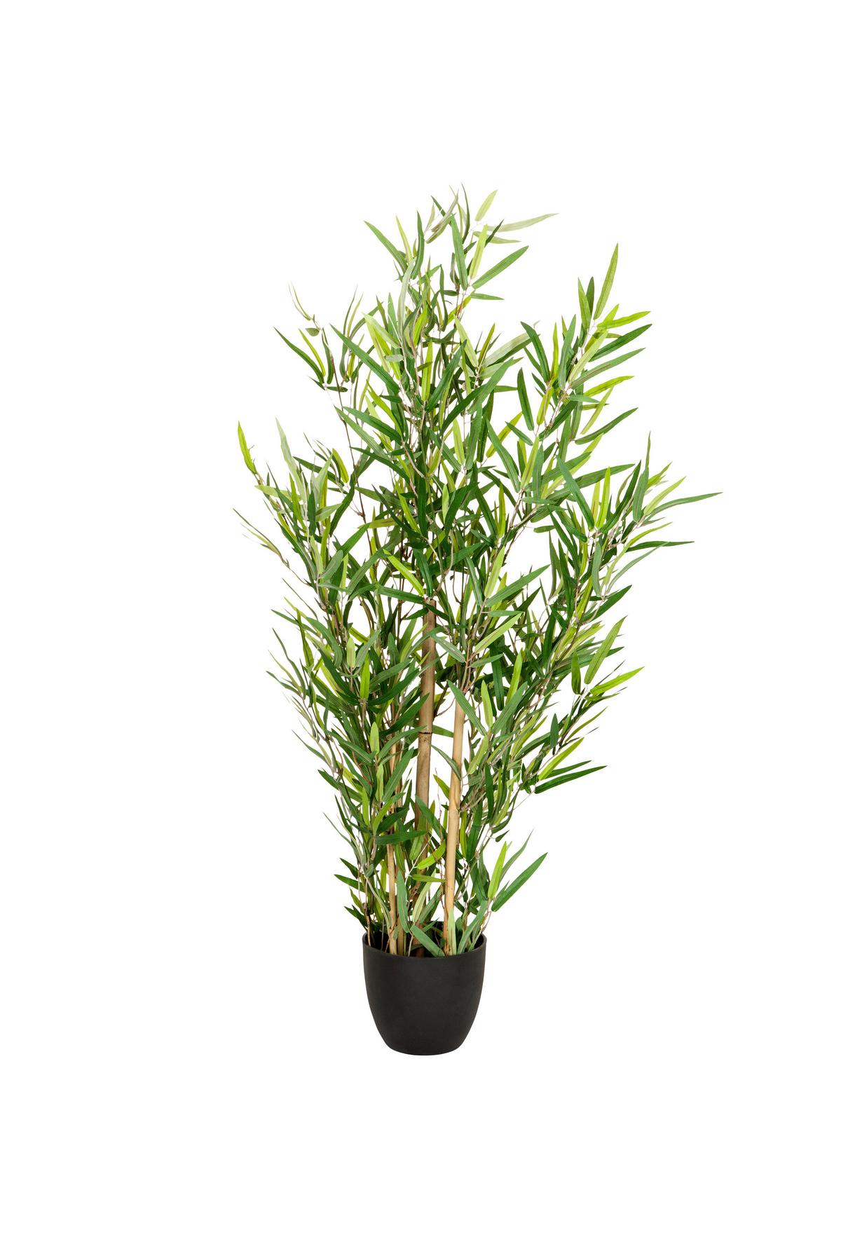 Umetna Rastlina Bambus - svetlo rjava/črna, Basics, umetna masa/tekstil (60/100/60cm) - MID.YOU