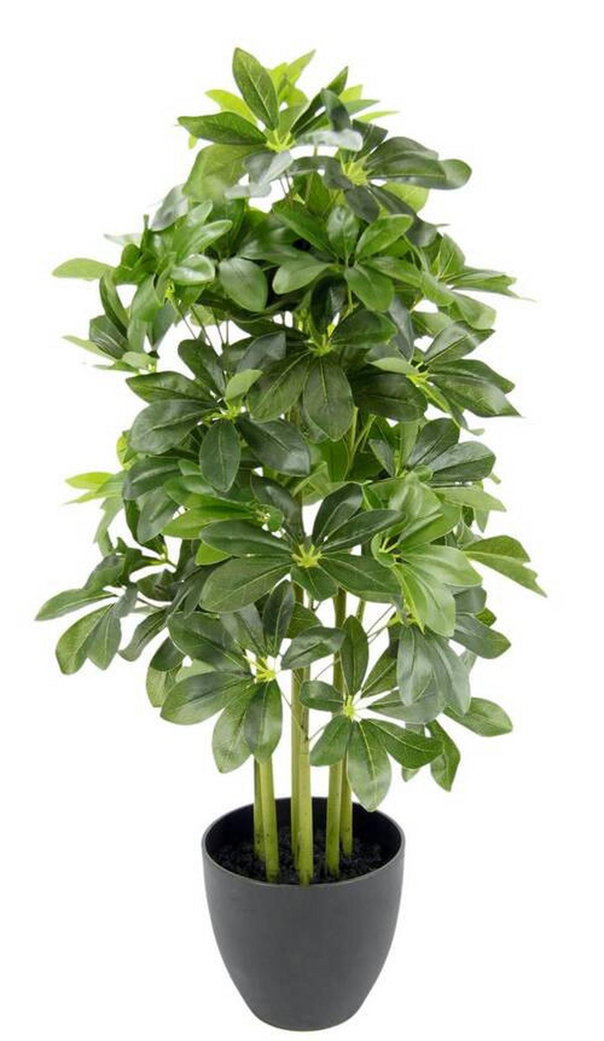 SZTUCZNA ROŚLINA 151558GN - zielony, Basics, tworzywo sztuczne/tkanina (80cm)