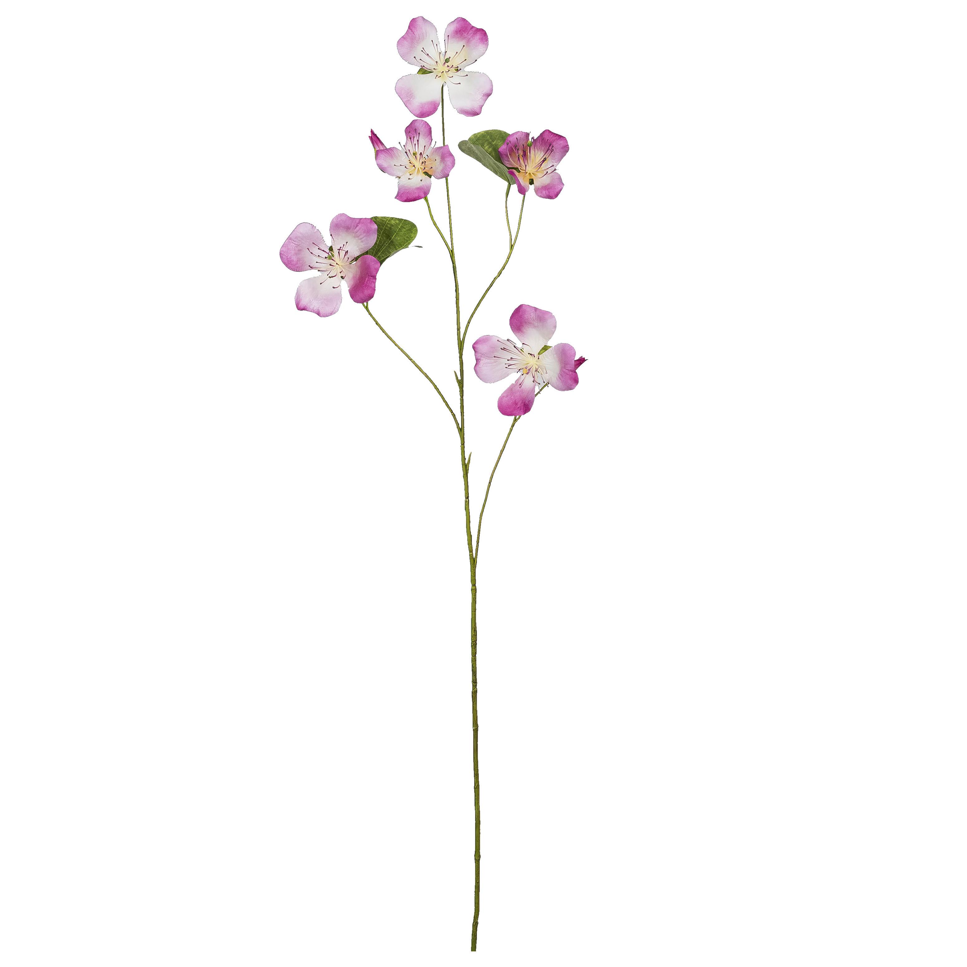Dekozweig Bauhinia I Pink/Braun - Pink/Braun, KONVENTIONELL, Kunststoff (108cm) - Mömax