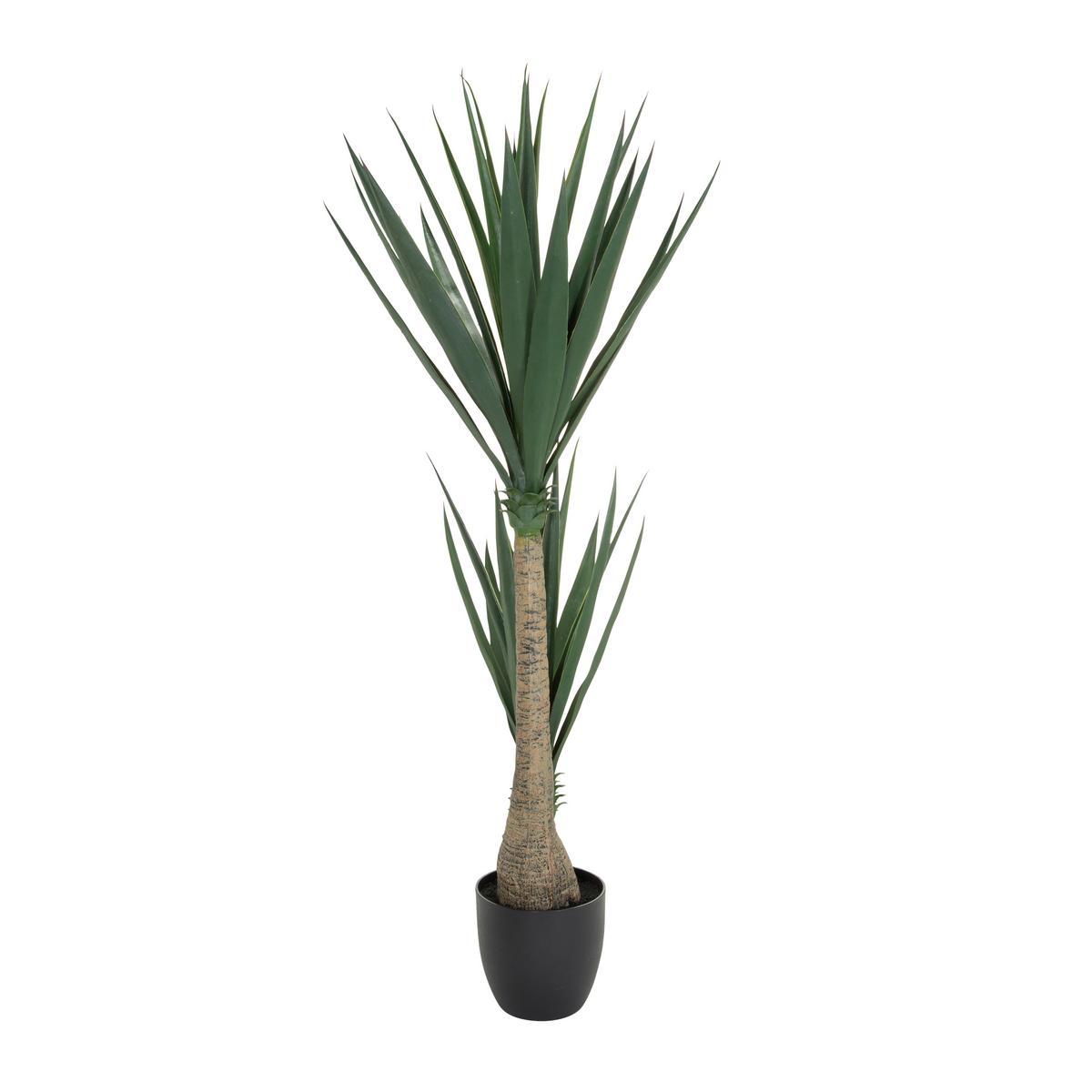Umetna Rastlina Yucca - črna/zelena, Basics, umetna masa (50/135/50cm) - MID.YOU