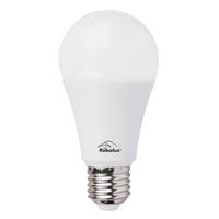 Bec LED 1571 - plastic (12/6/6cm) - Rabalux