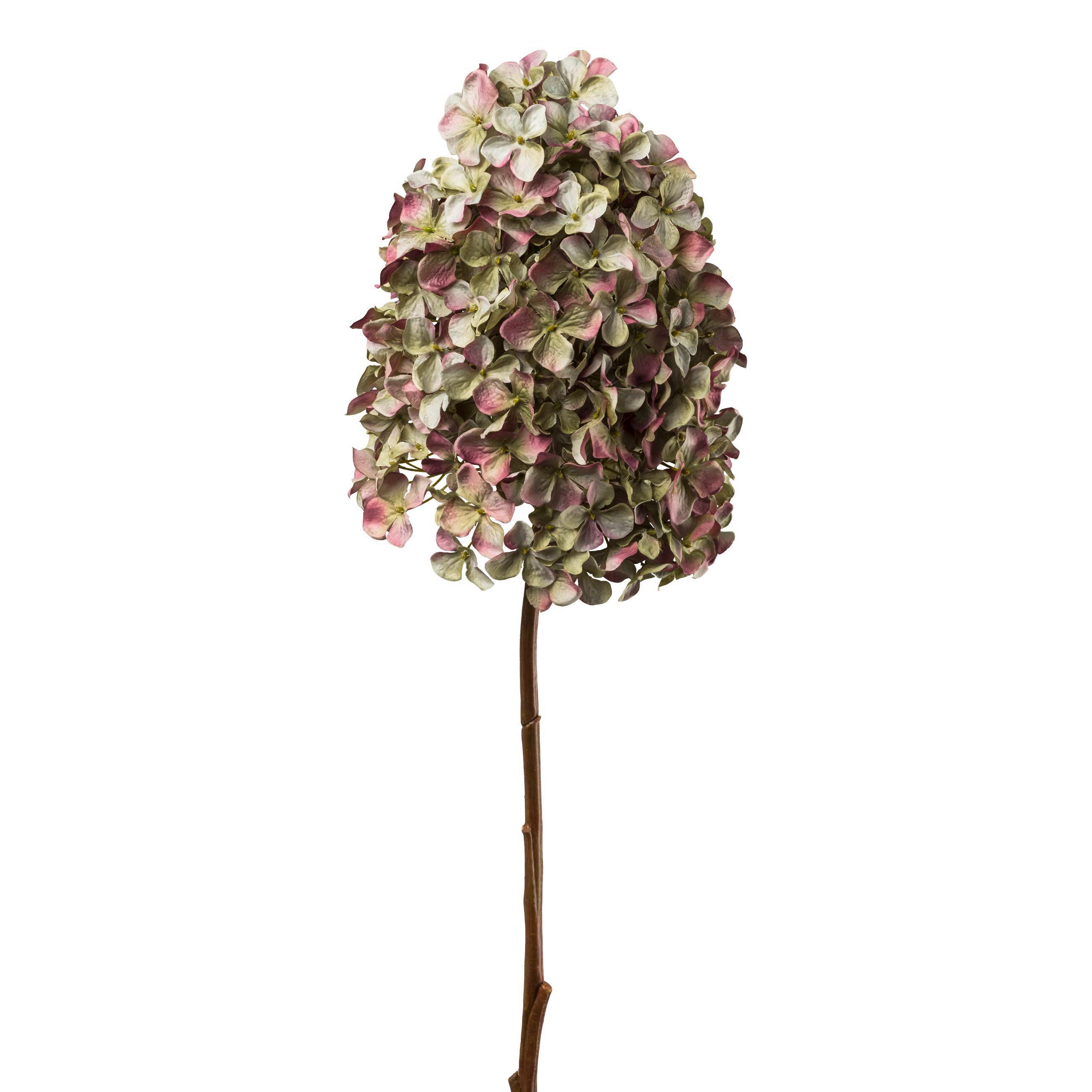 Művirág Hortenzia - lila/barna, Konventionell, műanyag (83cm) - Modern Living