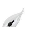 LED-LJUSKÄLLA C82228MM - mässingsfärgad/transparent, Klassisk, metall/glas (3,5/12,5cm) - Mömax