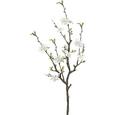 Dekozweig Quittenzweig Cherry in Weiß - Weiß/Braun, Kunststoff/Textil (75cm) - MÖMAX modern living