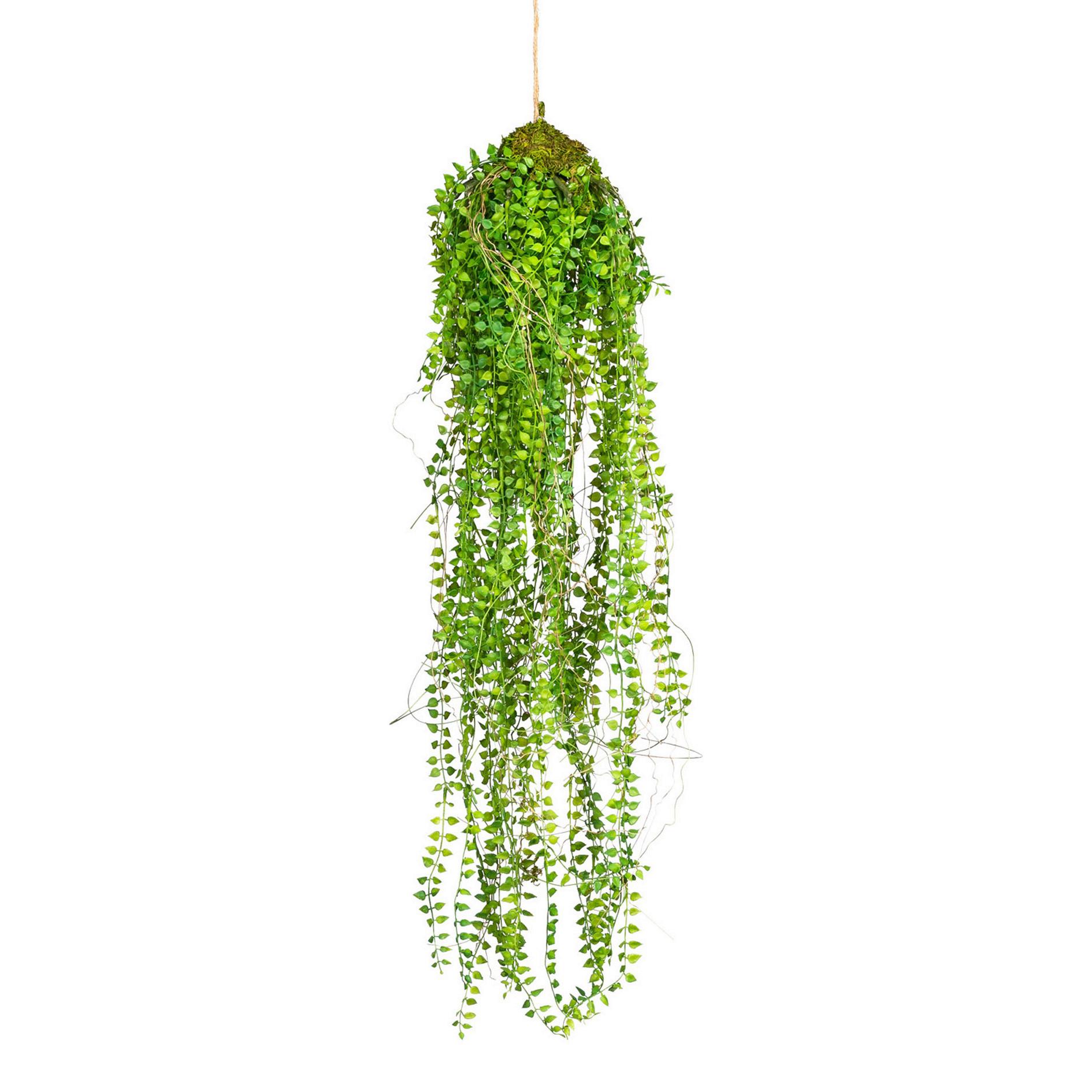 Kunstpflanze in Grün ca. 70cm - Grün, Basics, Kunststoff (70cm) - P & B