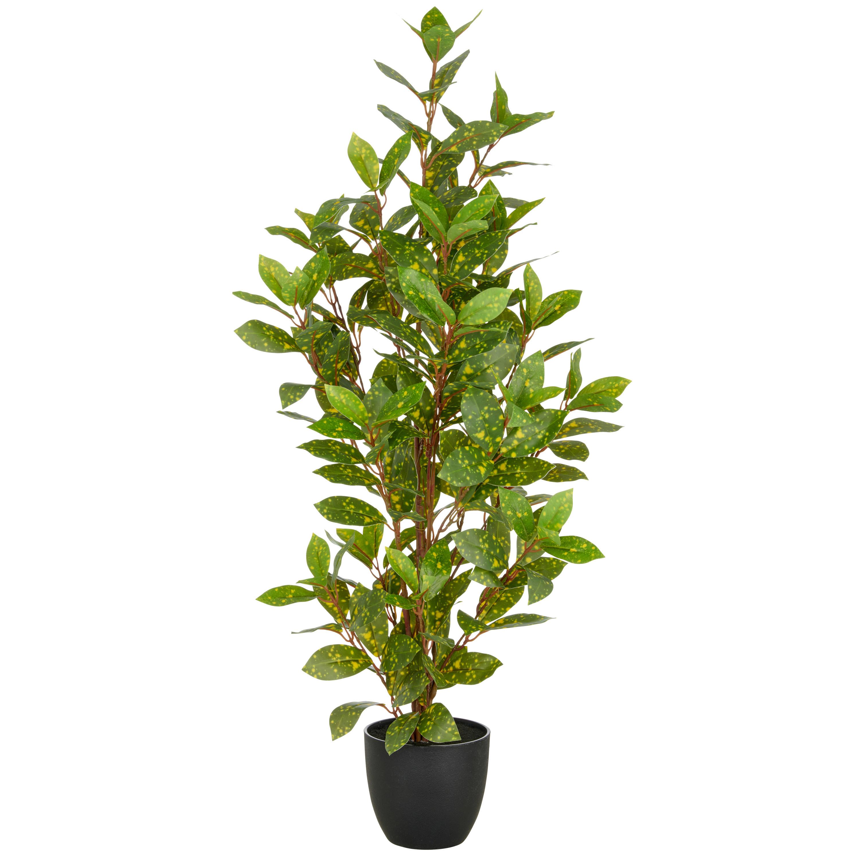 Kunstpflanze Acuba Grün/Schwarz ca. 90cm - Schwarz/Braun, Basics, Kunststoff (90cm) - P & B