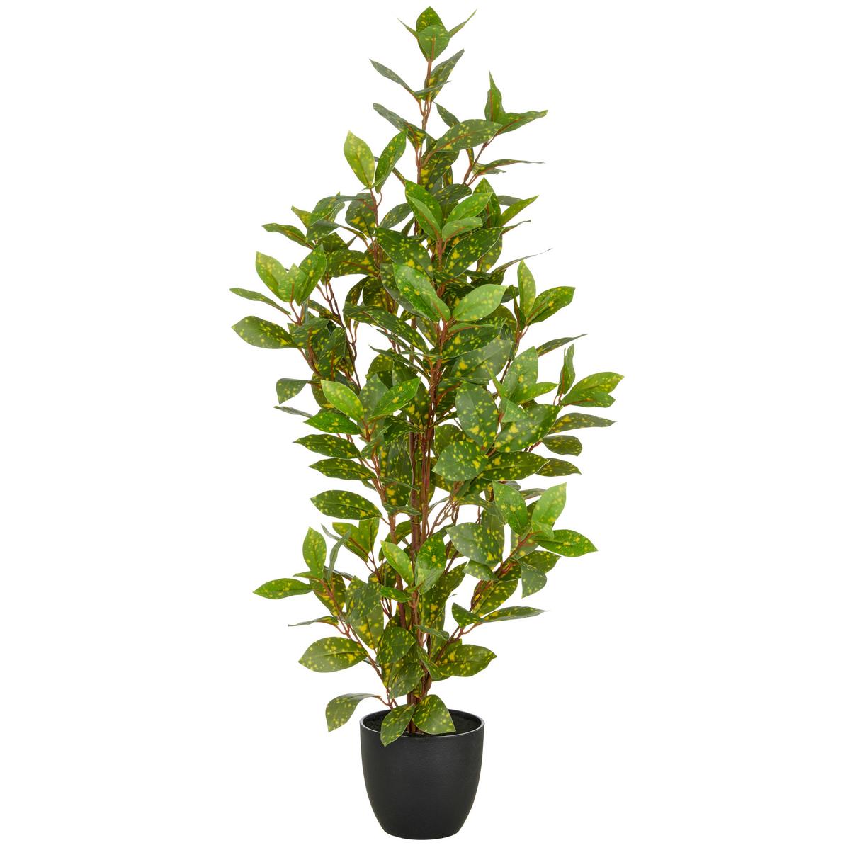 Kunstpflanze Acuba Grün/Schwarz ca. 90cm - Schwarz/Braun, Basics, Kunststoff (90cm) - P & B