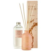 Diffúzor Essential - rózsaszín, Üveg/hullámkarton (5,5/10,5cm) - Premium Living