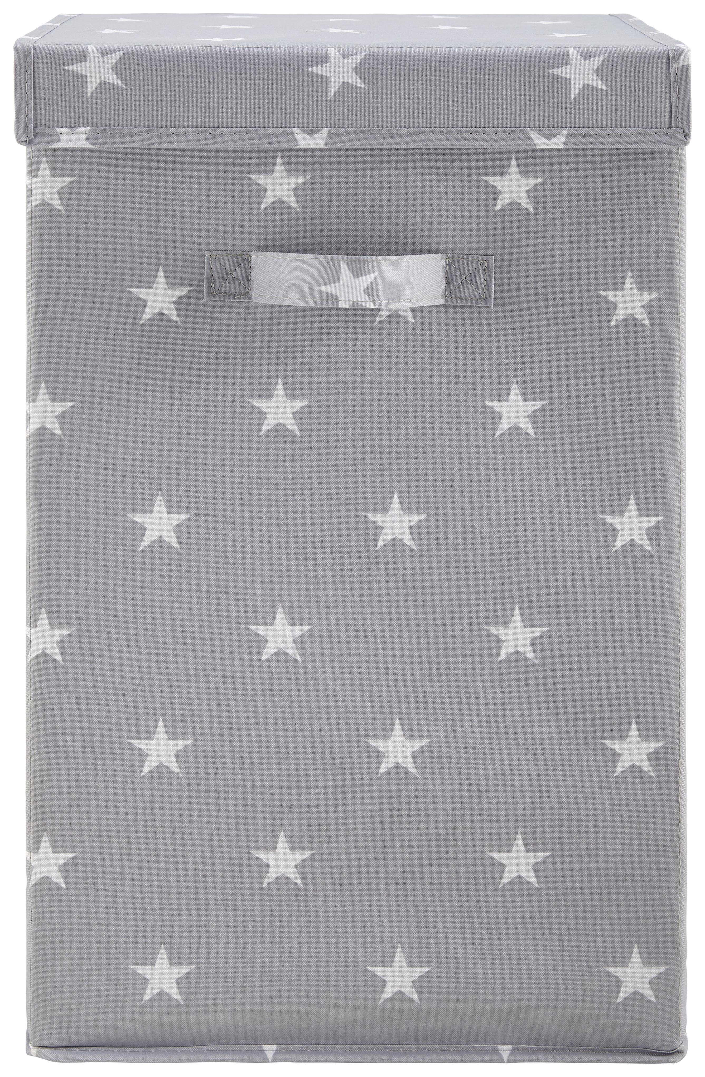 Faltbox Sandy in Grau mit Deckel ca. 30x50x30 cm - Weiß/Grau, MODERN, Kunststoff (30/50/30cm) - Bessagi Home