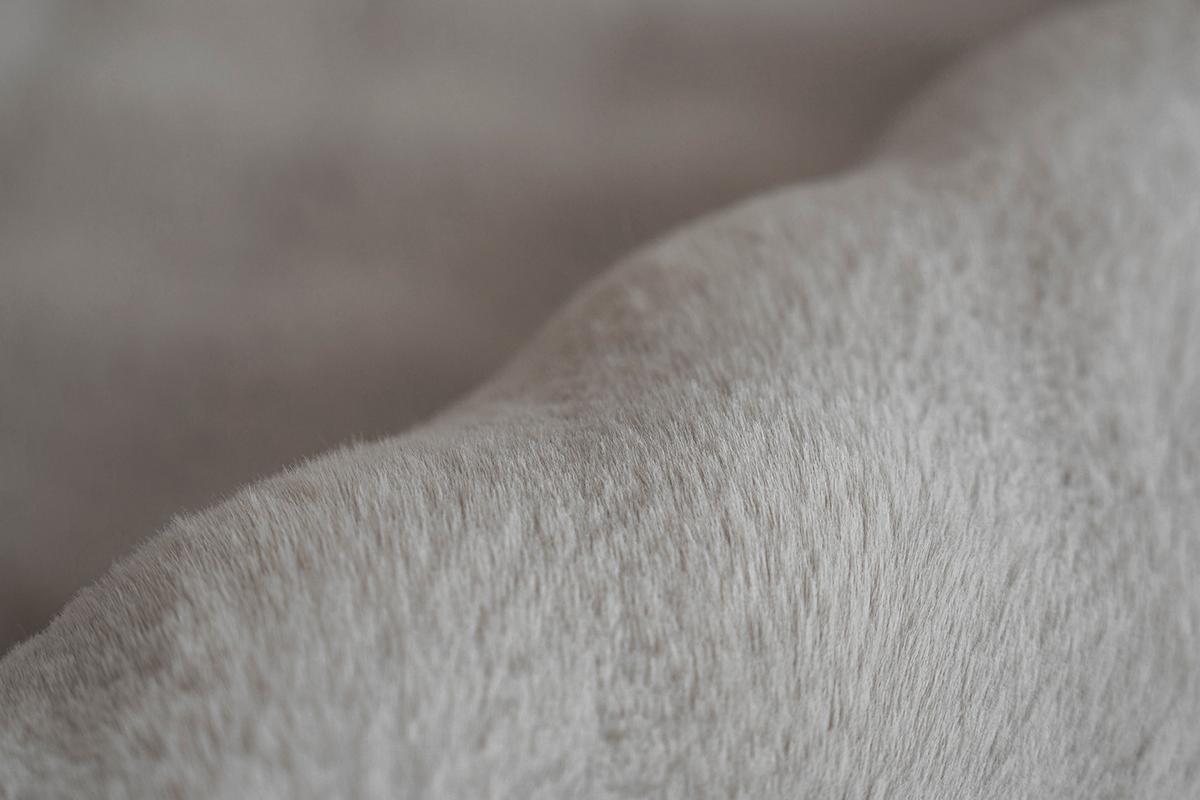 HOCHFLORTEPPICH HAILEY 125 GRAU 160 X 230 CM - gris, Basics, textile (160/230cm) - Kayoom