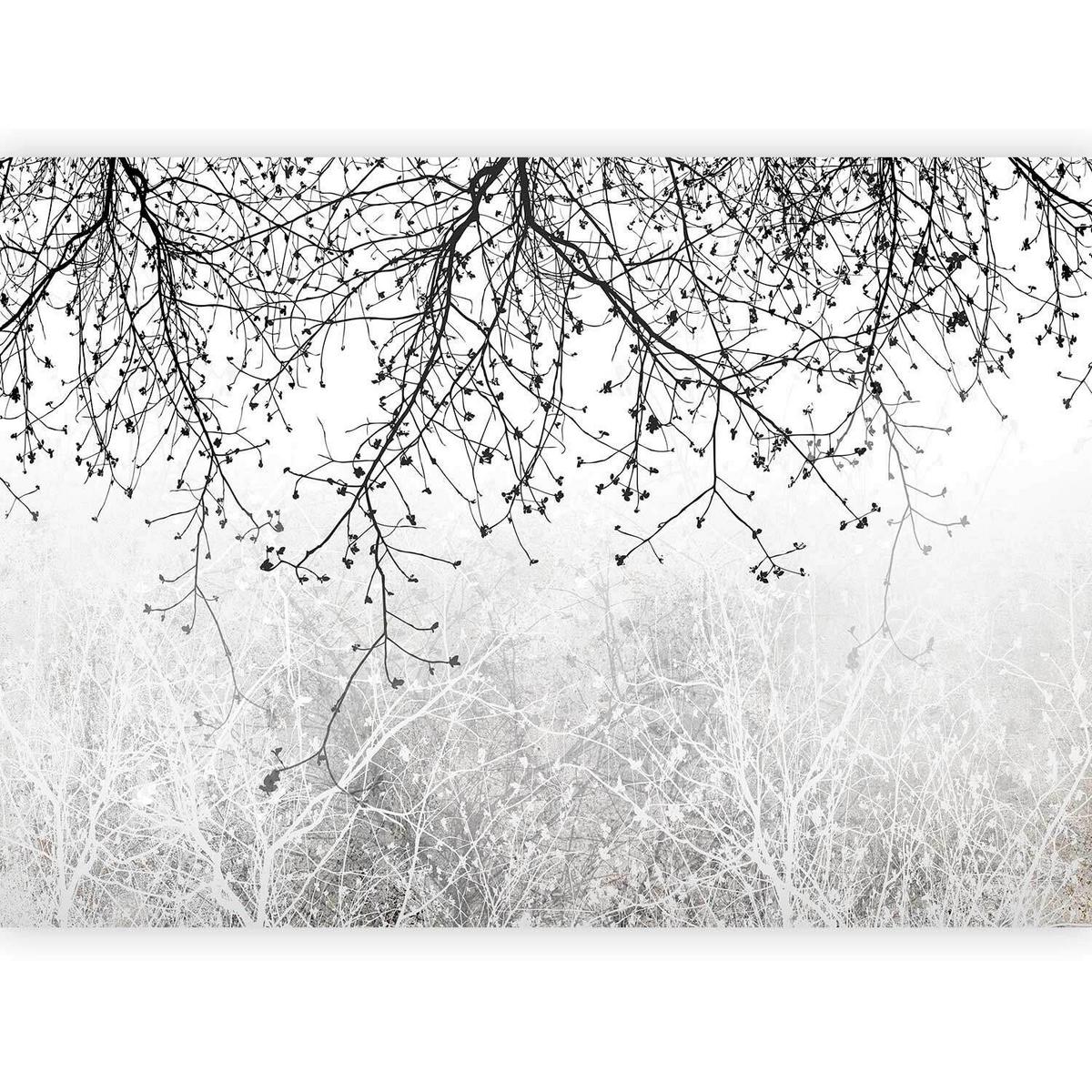 Fototapeta Natural Brightness, 300x210cm - siva/črna, Trendi, tekstil (300/210cm) - artgeist