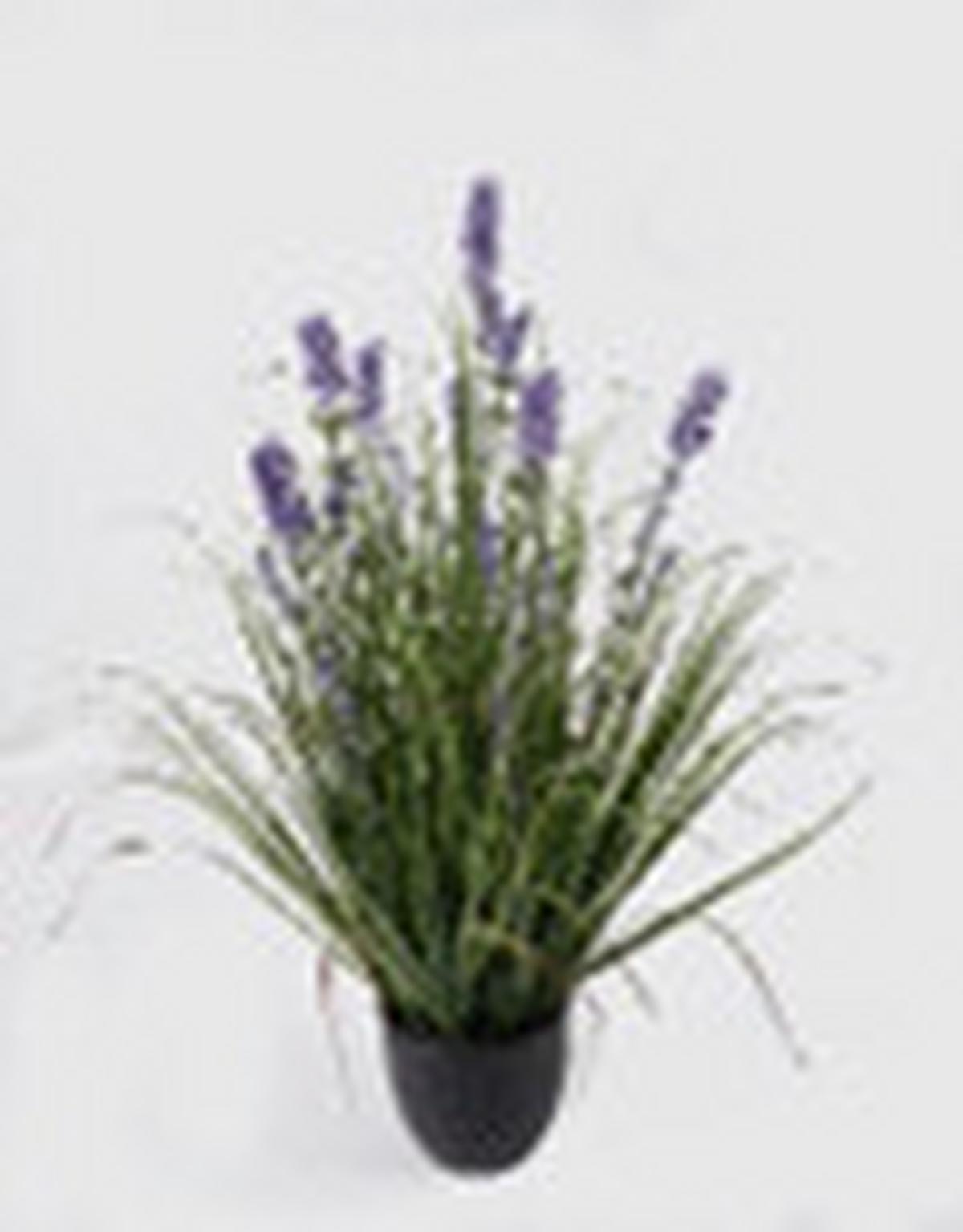 Műnövény Purple - lila/fekete, műanyag (35/56cm)