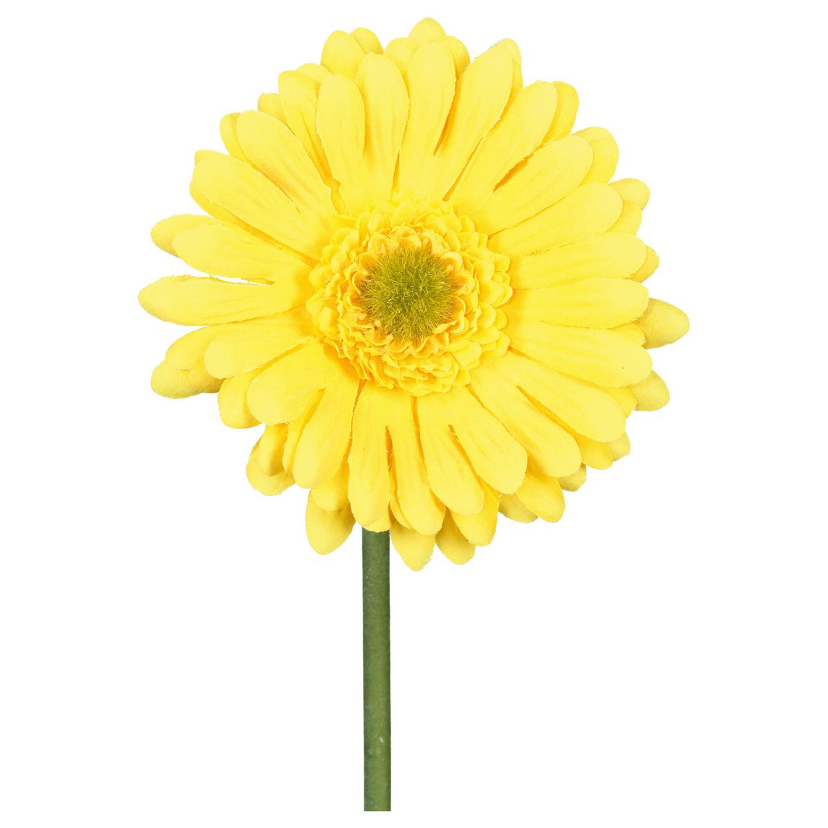 Kunstblume Gerbera I Gelb/Grün - Gelb/Grün, Konventionell, Kunststoff (50cm) - Mömax
