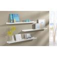 Falipolc Armerina -sb- - (80/3/9cm) Falipolc Armerina -sb- - (80/3/9cm)