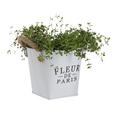 Kaspó Fleur De Paris - Fehér, romantikus/Landhaus, Fém (17cm) - Mömax modern living Kaspó Fleur De Paris - Fehér, romantikus/Landhaus, Fém (17cm) - Mömax modern living