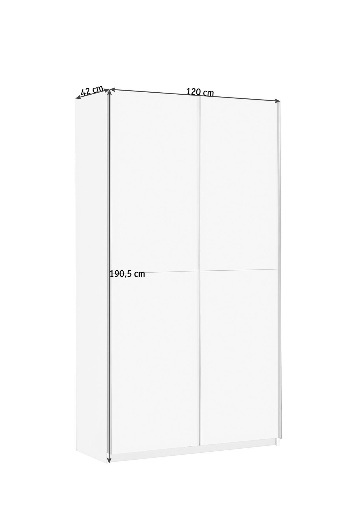 Večnamenska Omara Dallas, Bela - bela/barve aluminija, Design, kovina/leseni material (120/190,5/42cm) - Carryhome