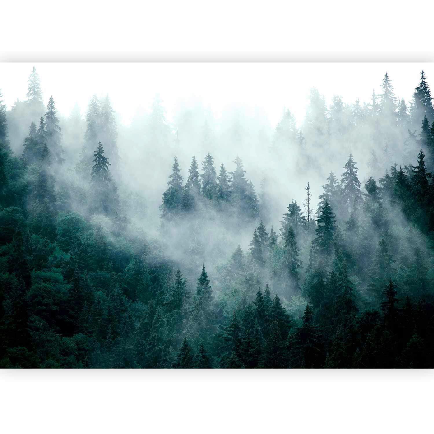 Fototapete Grau/Waldgrün ca. 400x280cm - Waldgrün/Grau, LIFESTYLE, Textil (400/280cm) - artgeist