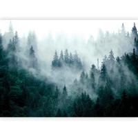 Fototapete Grau/Waldgrün ca. 400x280cm - Waldgrün/Grau, LIFESTYLE, Textil (400/280cm) - artgeist