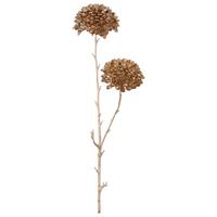 Kunstpflanze Ixora I Champagner ca. 52cm - Champagner/Naturfarben, Basics, Kunststoff (52cm) - Mömax