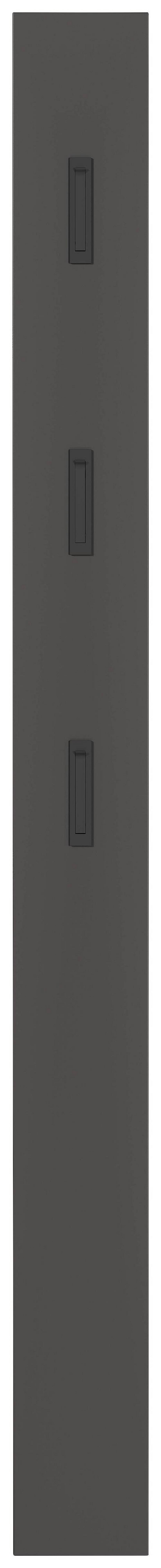 Garderobenpaneel in Graphitfarben - Graphitfarben, Modern, Holzwerkstoff (15/170/3cm) - Mömax
