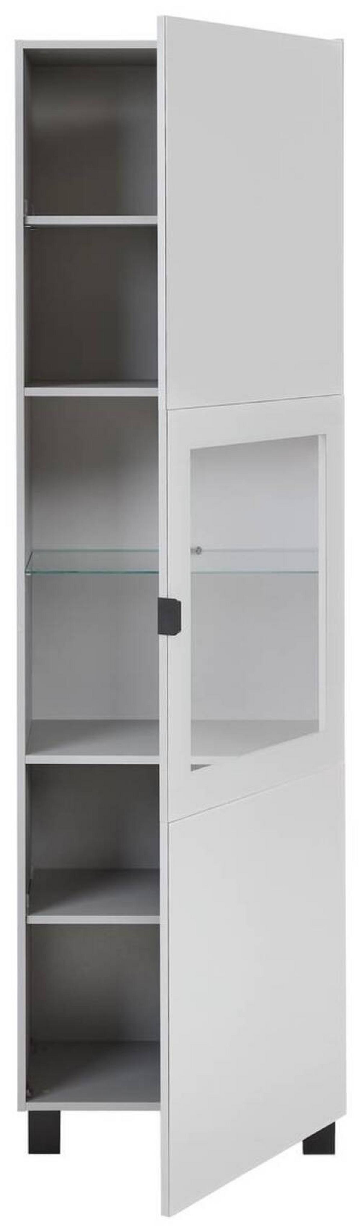 Vitrina Poole, Svetlo Siva - siva/črna, Design, kovina/umetna masa (60/203,5/41,5cm) - Hom`in