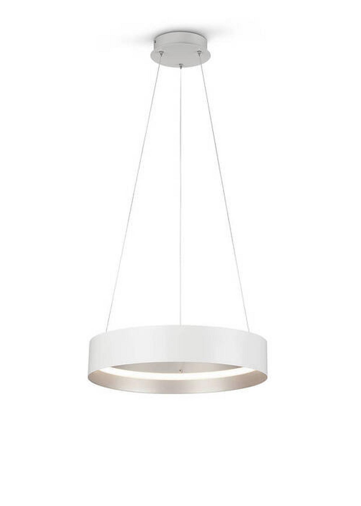LAMPA WISZĄCA LED MR34461131 LOOP - kolor srebrny/biały, Design, metal (50/150cm) - Musterring