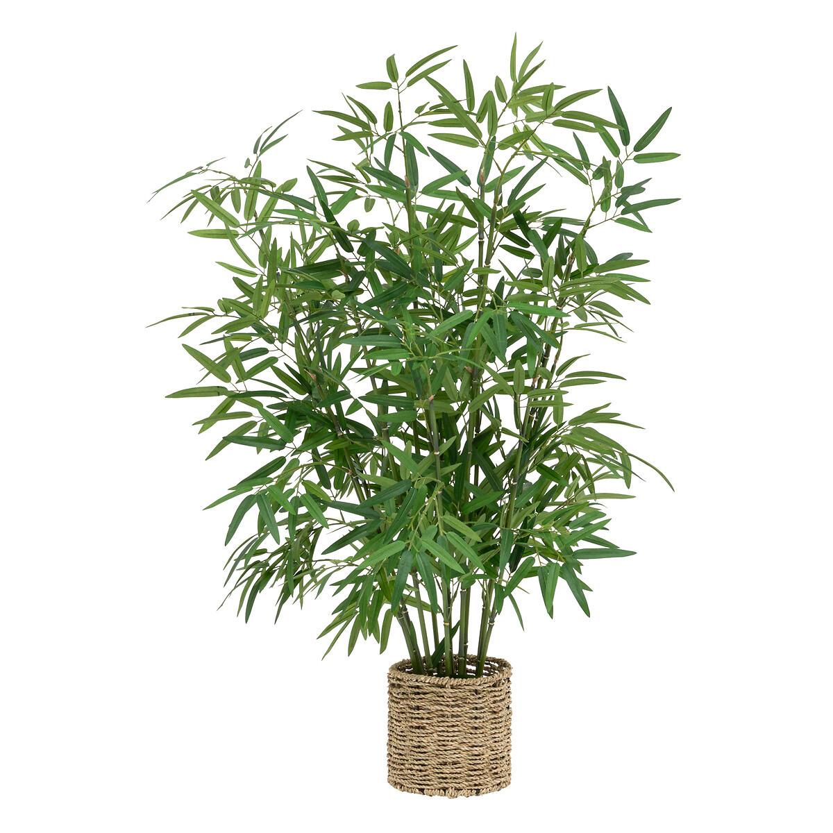 Uksrasna Biljka Bamboo - Moderno (100cm)