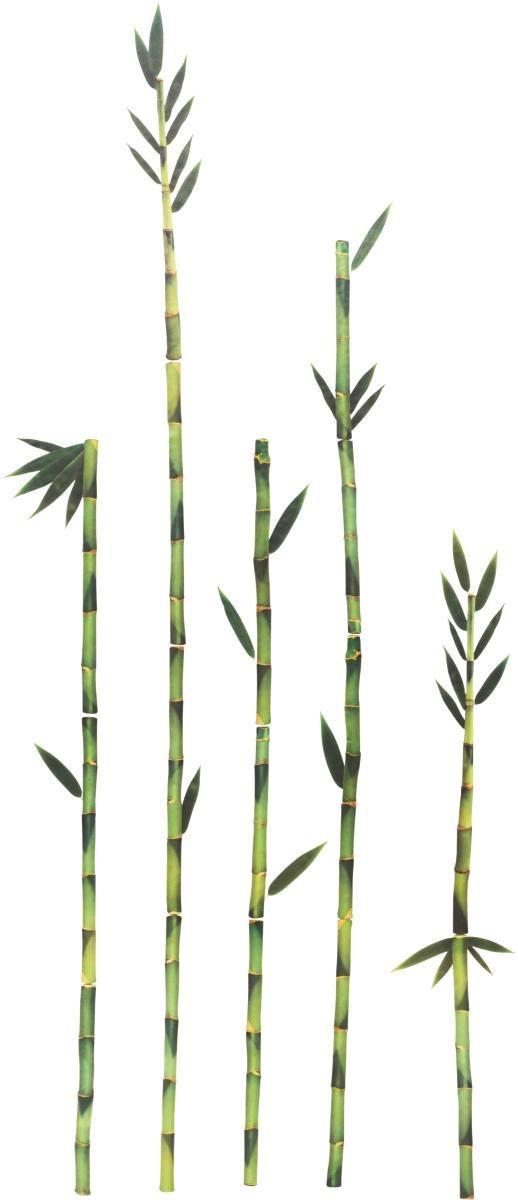 Falmatrica Bambusz - Zöld, modern, Műanyag (50/70cm) - Modern Living
