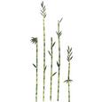 Dekorativne Nalepke Bambus - zelena, Moderno, umetna masa (50/70cm) Dekorativne Nalepke Bambus - zelena, Moderno, umetna masa (50/70cm)