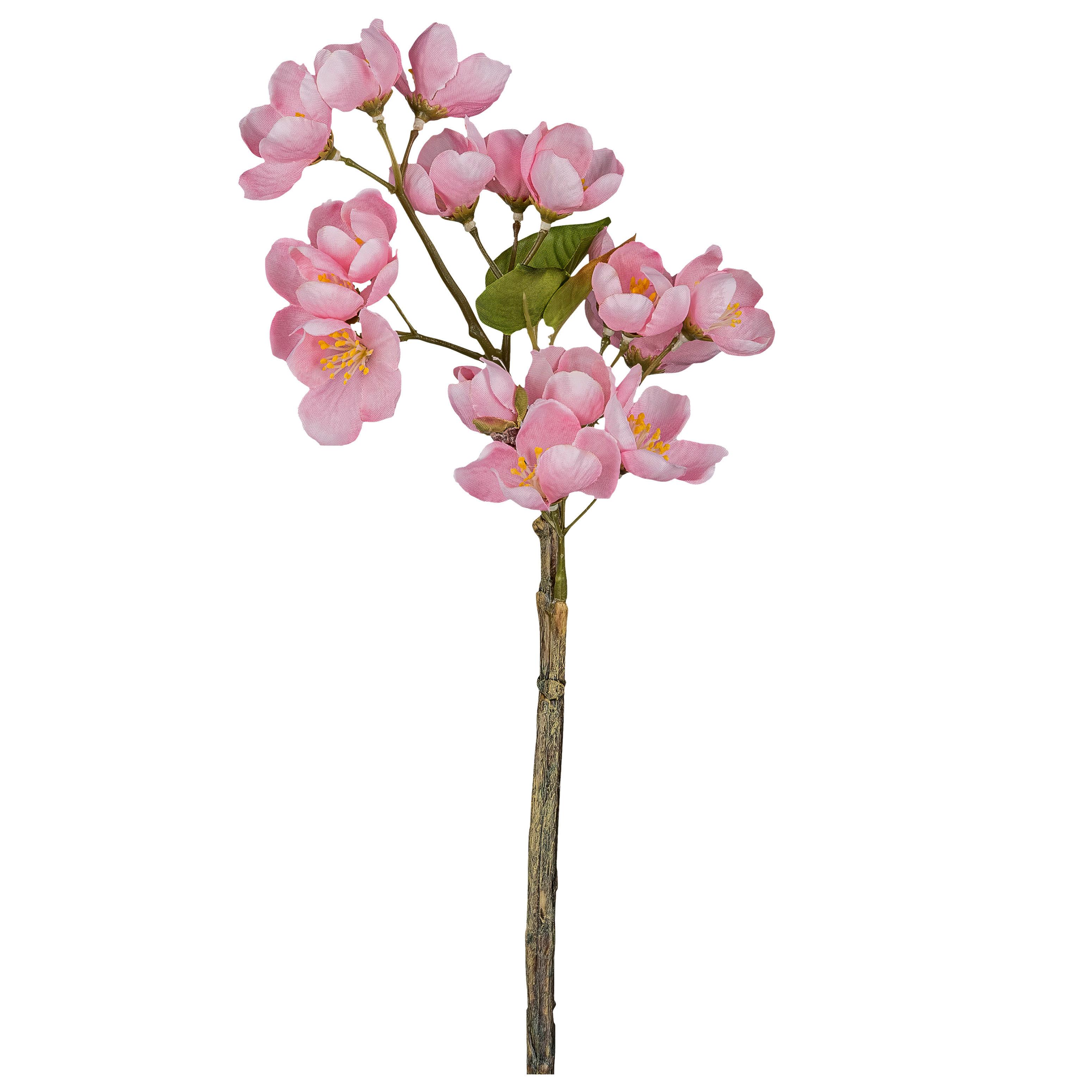 Dekor Gally Apple - barna/rózsaszín, Konventionell, műanyag (35cm) - Mömax