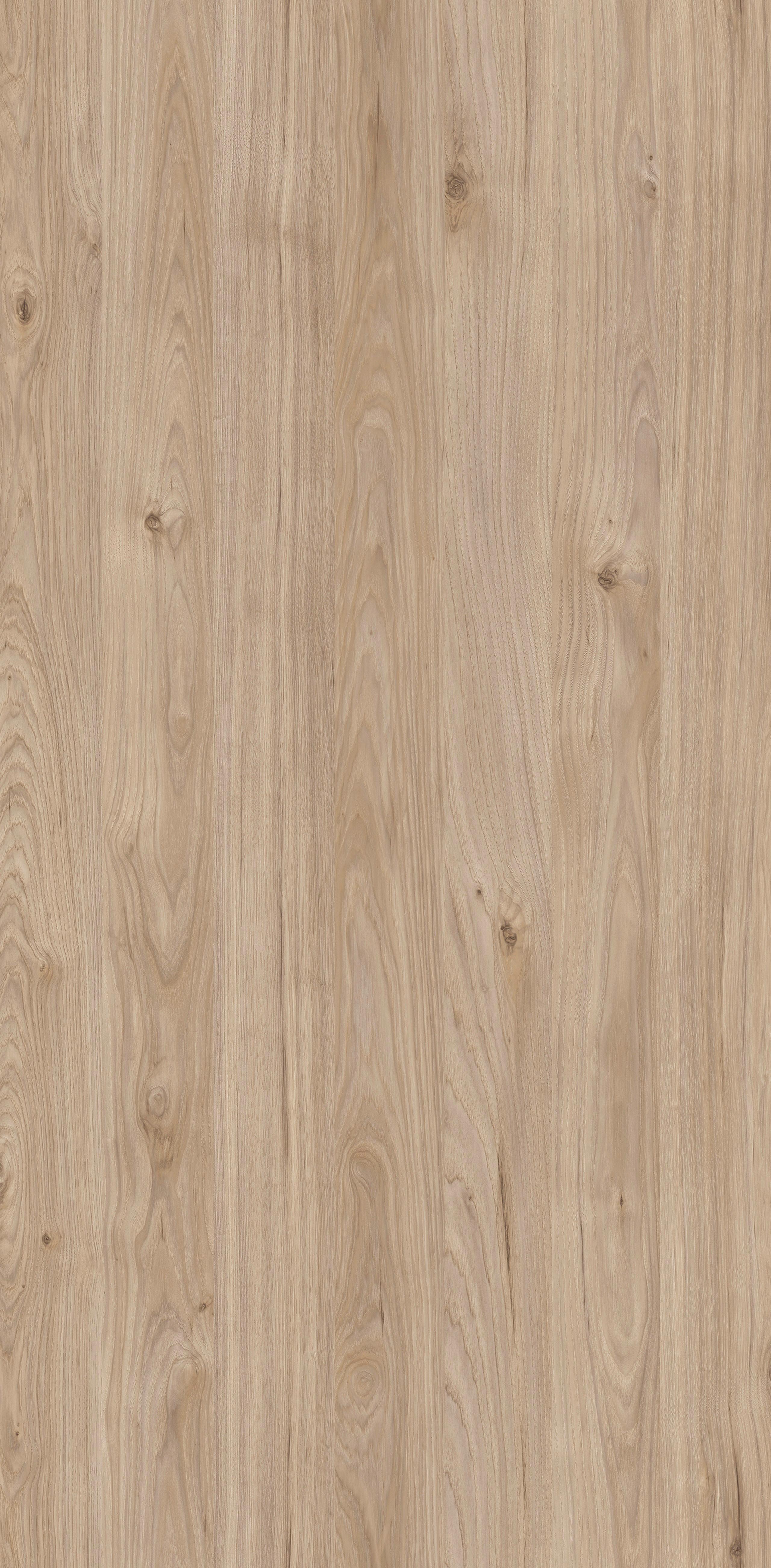 Arbeitsplatte APL150 in Eichefarben ca. 150x60cm - Eichefarben, Holzwerkstoff (150/60cm) - FlexWell