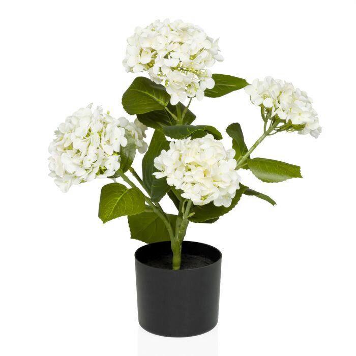 Umetna Rastlina Hydrangea - črna/zelena, Moderno, umetna masa (30/52/30cm) - MID.YOU