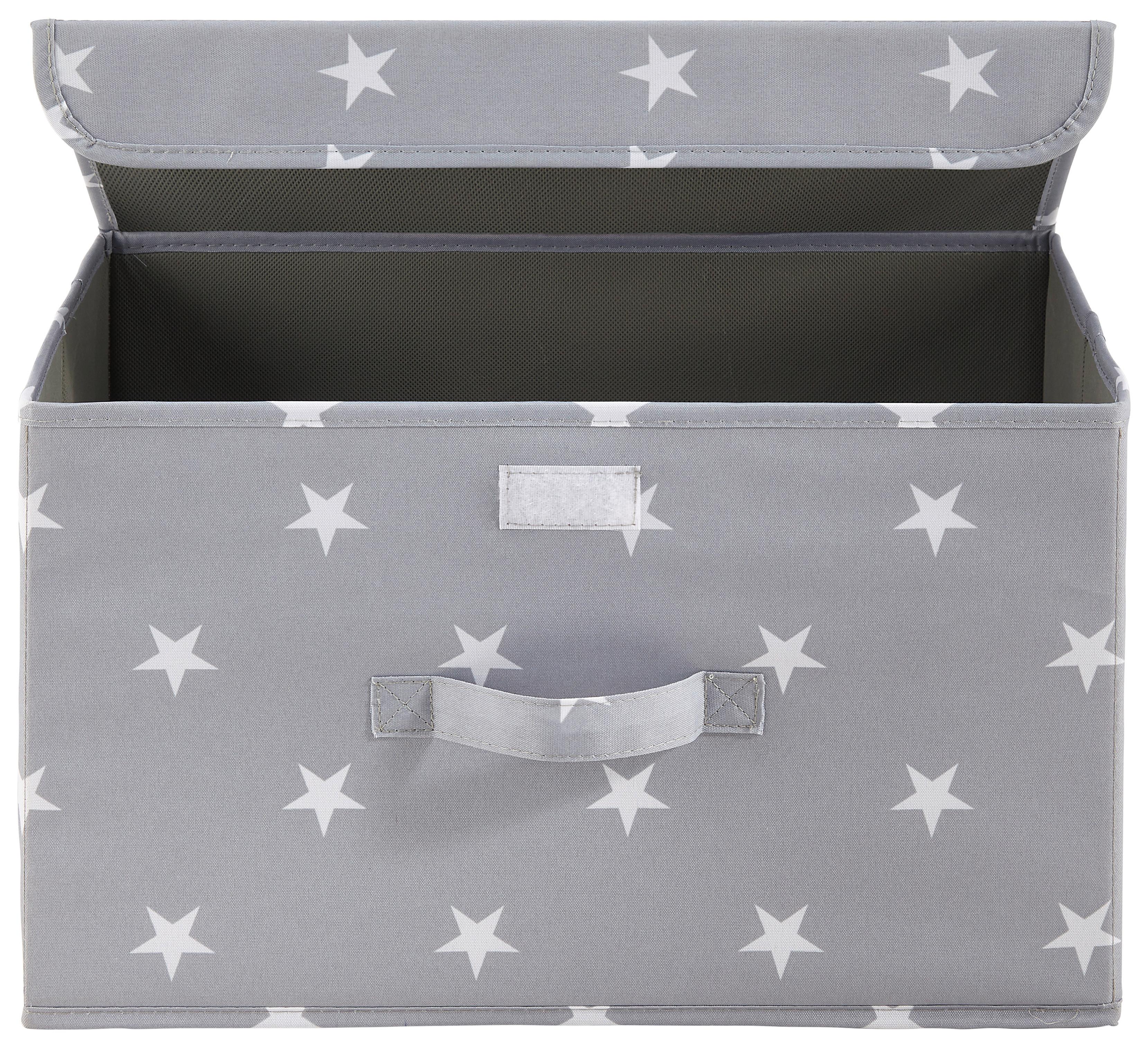 Faltbox Sandy in Grau mit Deckel ca. 40x25x25 cm - Weiß/Grau, MODERN, Kunststoff (40/25/25cm) - Bessagi Home