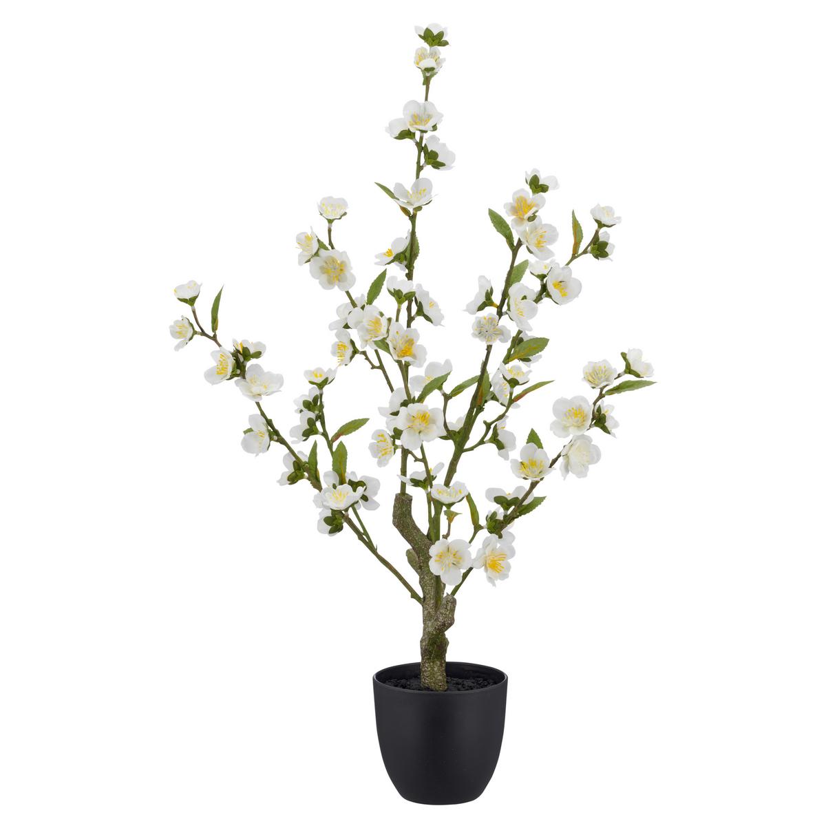 Cvjetna Grana Trešnje Kirschblute I - bijela/zelena, Basics, metal/plastika (64cm) - Mömax