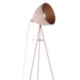 Stehleuchte Chester max. 60 Watt - Hellrosa/Kupferfarben, LIFESTYLE, Metall (60/60/135,5cm) Stehleuchte Chester max. 60 Watt - Hellrosa/Kupferfarben, LIFESTYLE, Metall (60/60/135,5cm)
