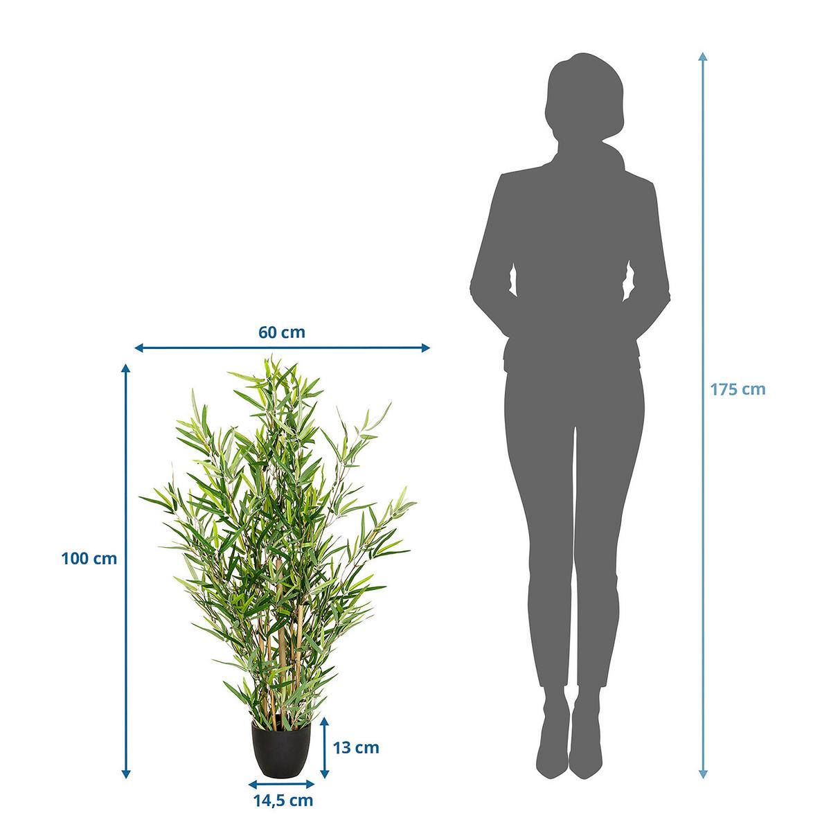 Umetna Rastlina Bambus - svetlo rjava/črna, Basics, umetna masa/tekstil (60/100/60cm) - MID.YOU